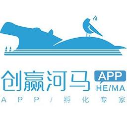 山东河马信息技术 以专业咨询引领数字化转型